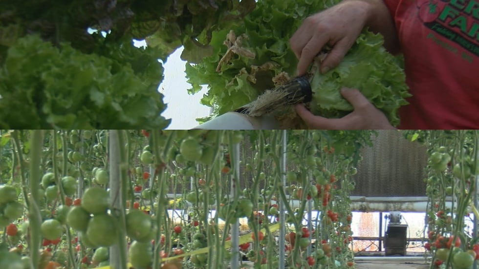 Preston Farmer working to keep his family and healthy business while his wife recovers of a ...