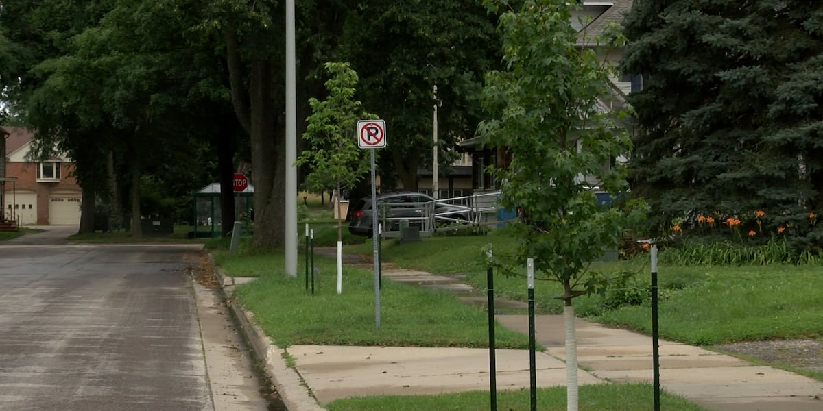 City of Rochester aims to plant roughly 3,000 trees