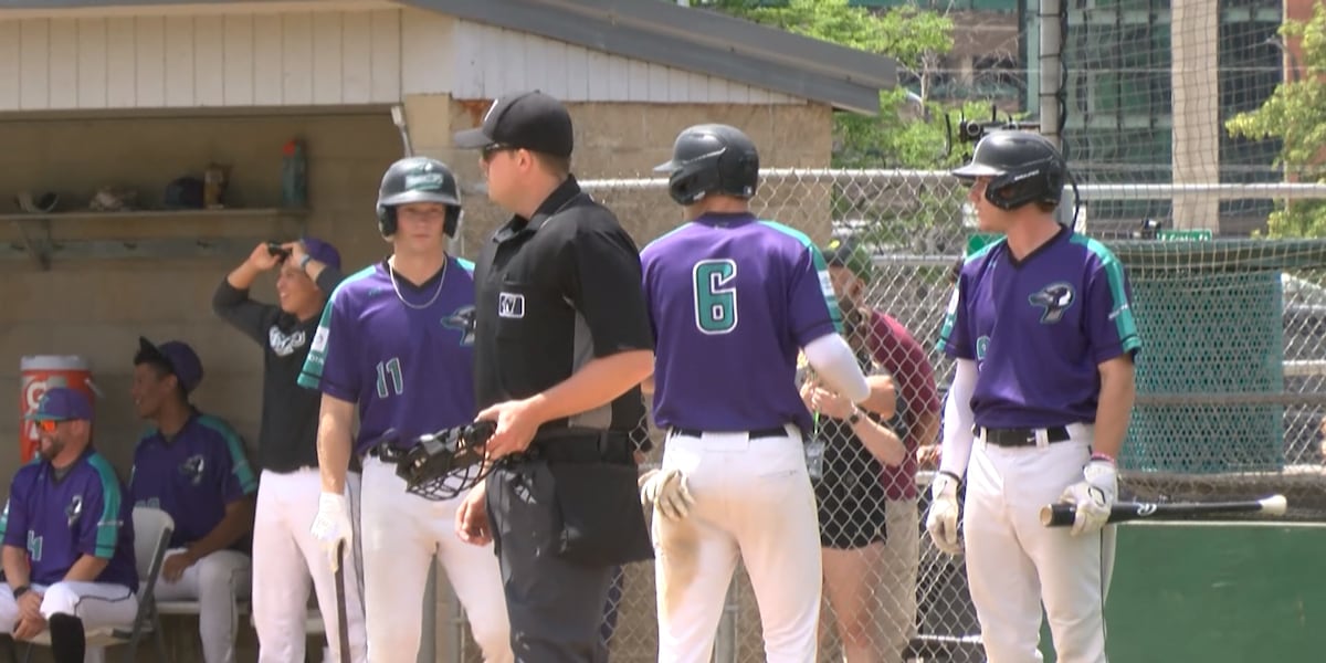 Honkers earn series split with the Rockford Rivets