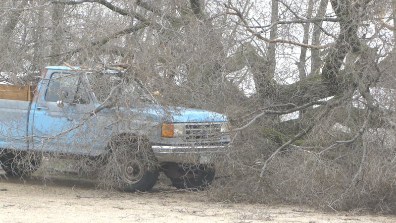 Dodge County residents assess damage after severe storms