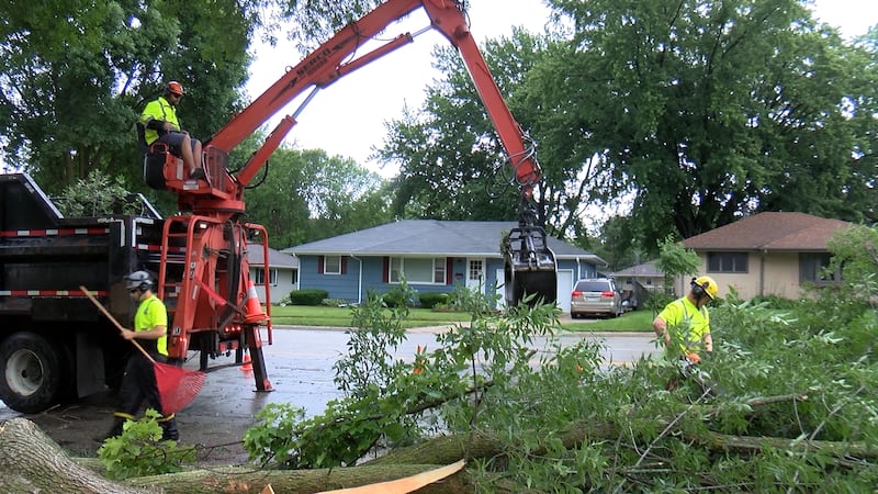 City of Rochester crew clearing a downed tree.