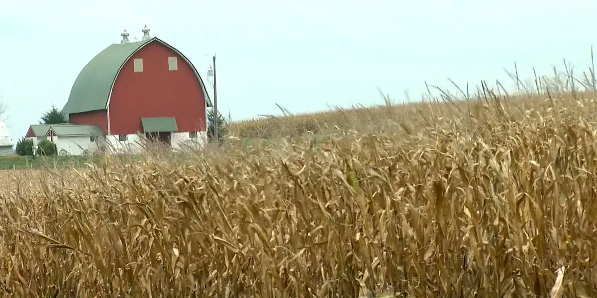 Minnesota and USDA award $9.5 million to projects that strengthen food supply chain infrastructure Minnesota and USDA award $9.5 million to projects that strengthen food supply chain infrastructure