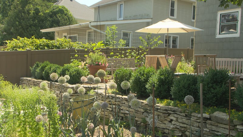The Garden Lab- Rochester garden tour