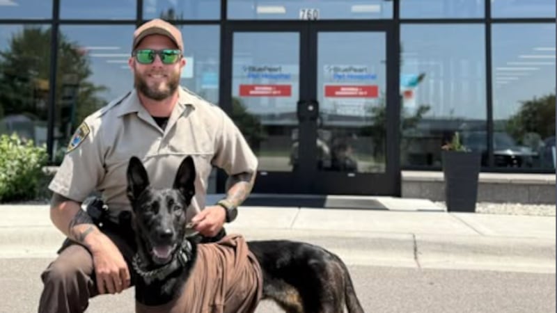 K9 Athena returns home