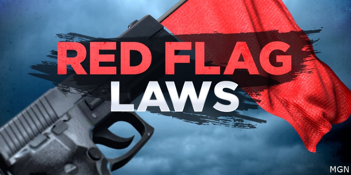 Experts share impact of Minnesota’s red flag law