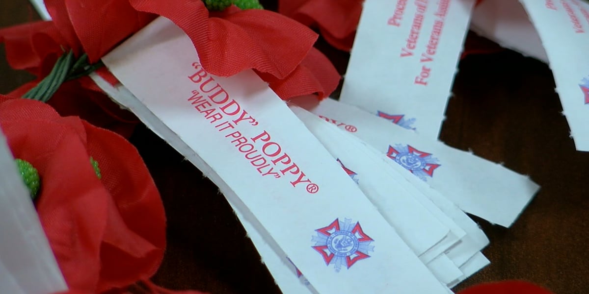 “Buddy” poppies roll out in Rochester