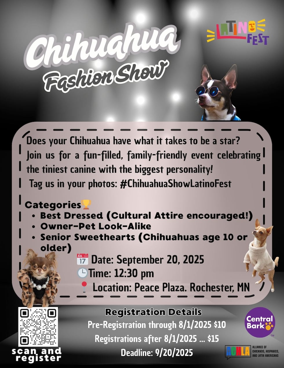 Chihuahua Fashion Show