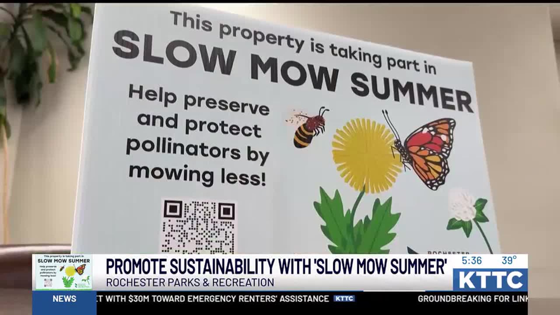 Sustainable Mowing for Pollinators: Boost Biodiversity & Thrive