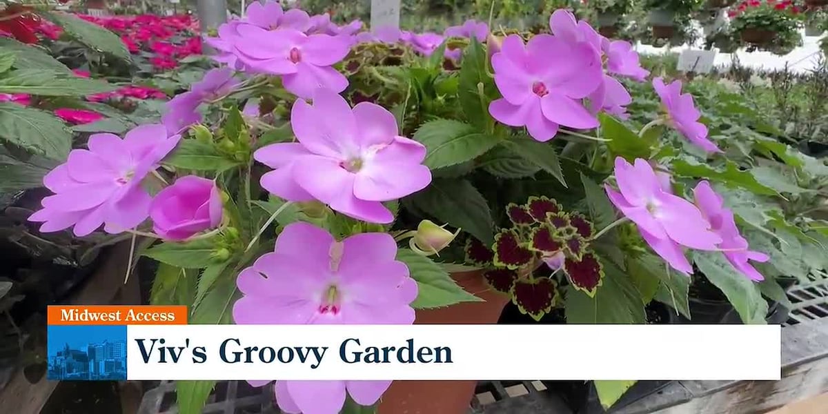 Midwest Access: Viv's Groovy Garden - Iowa Trip