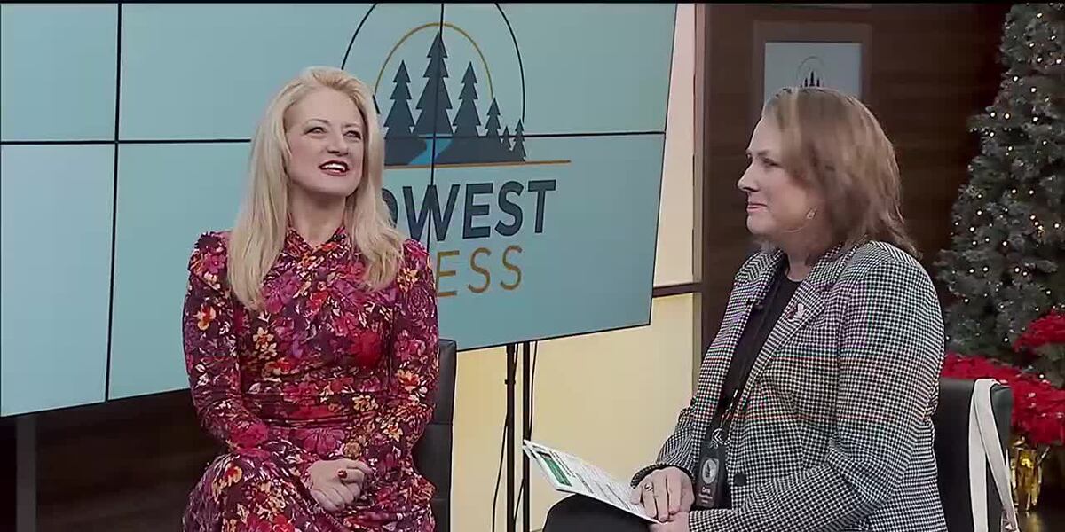 Midwest Access - Rochester Art Center's Holiday Season